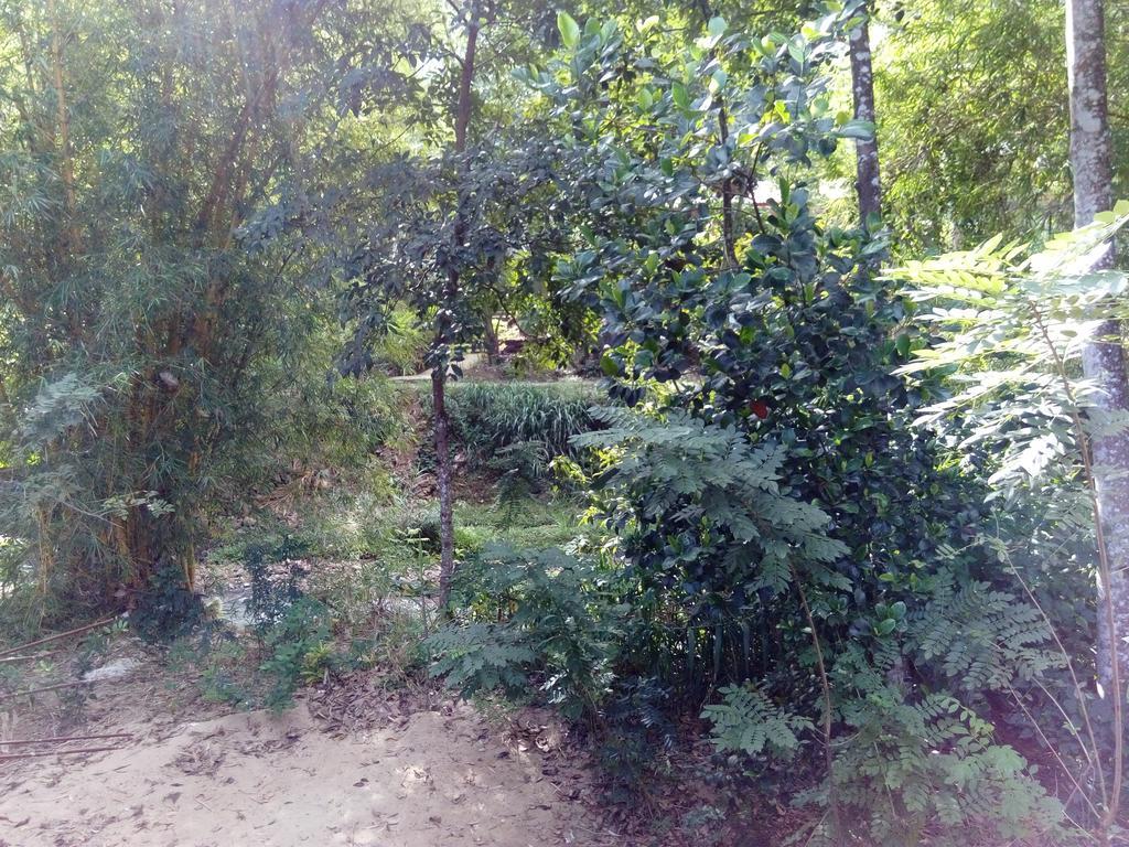 Ask Homestay Ella Εξωτερικό φωτογραφία